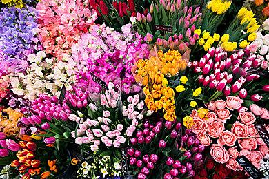 《战争机器：重装上阵》全球同步解锁时间表出炉